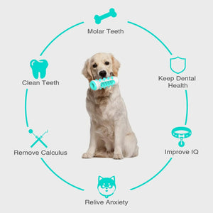 Juguete para Limpiar los Dientes del Perro - additional image 1